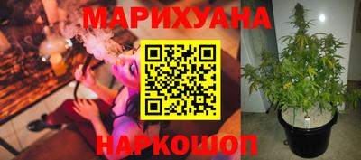 гидропоника Можга