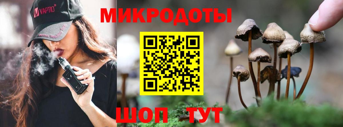 Галлюциногенные грибы мицелий  Вход с VPN  Десногорск 